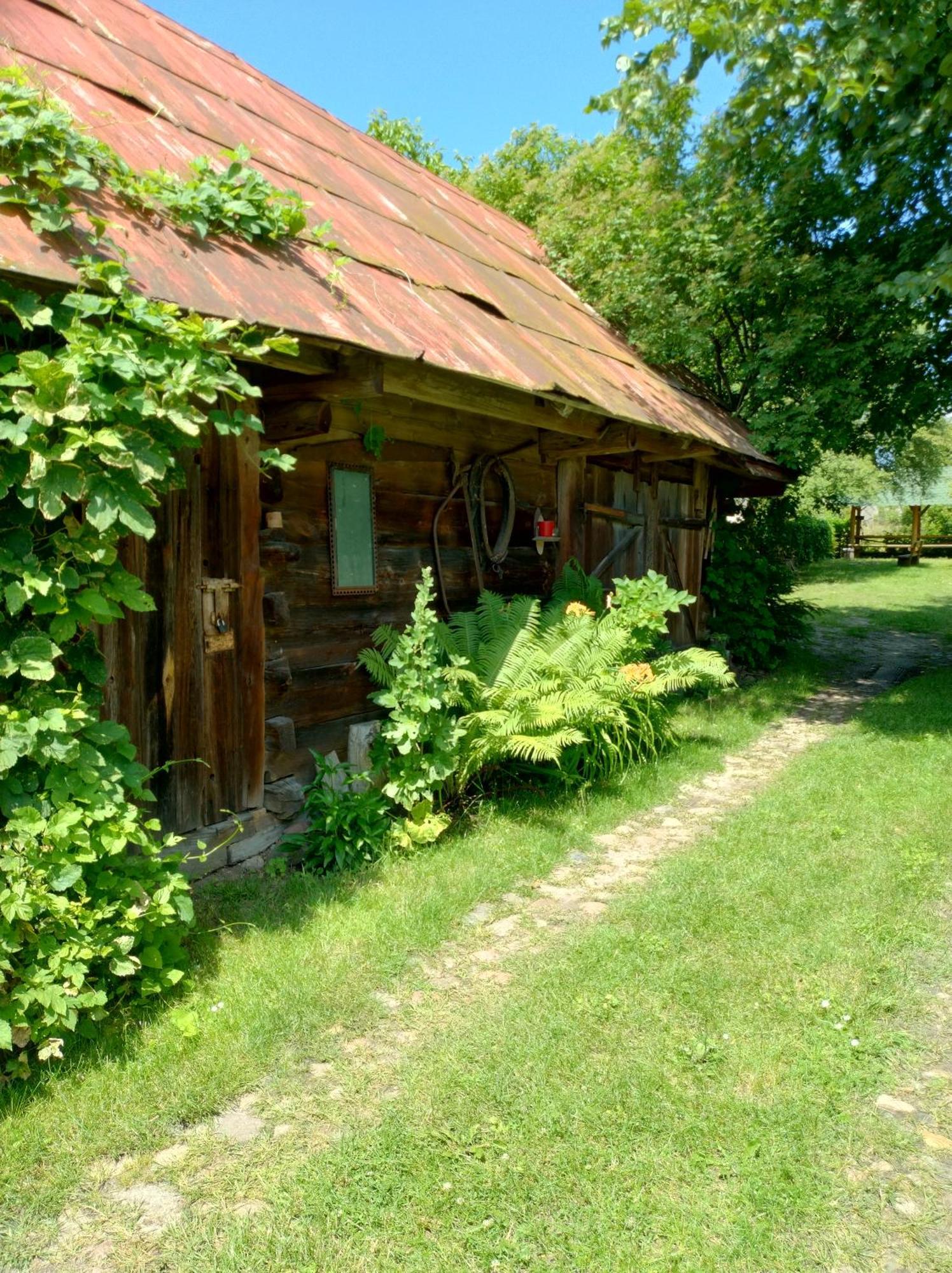 Dom Sloneczko Pokoje Do Wynajecia W Bialowiezy Białowieża Extérieur photo
