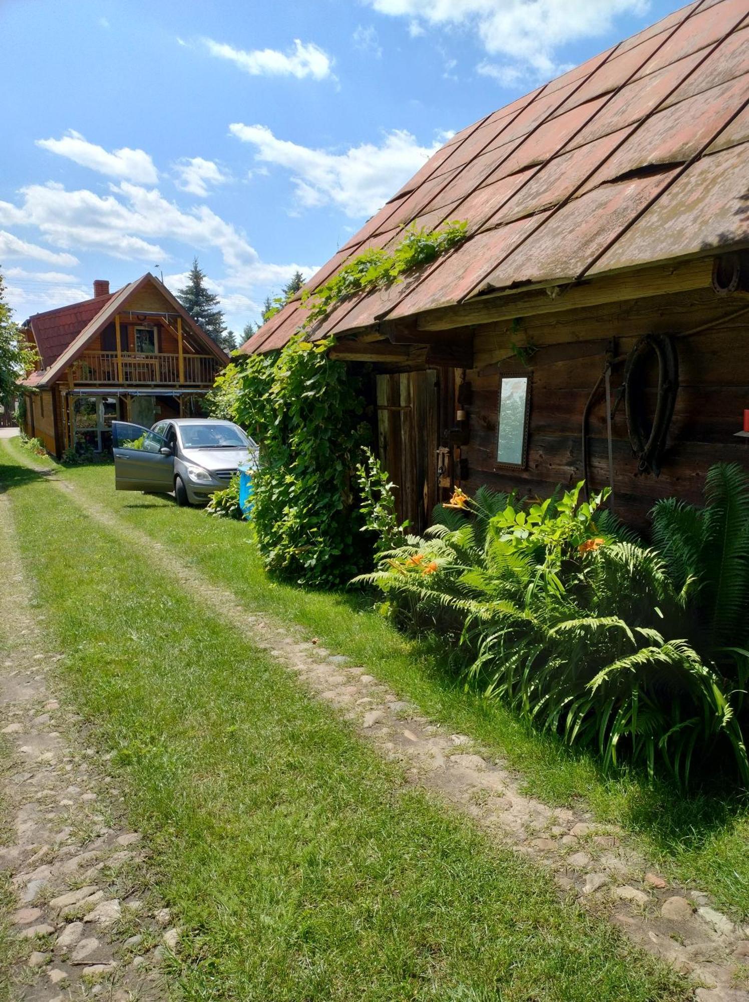 Dom Sloneczko Pokoje Do Wynajecia W Bialowiezy Białowieża Extérieur photo